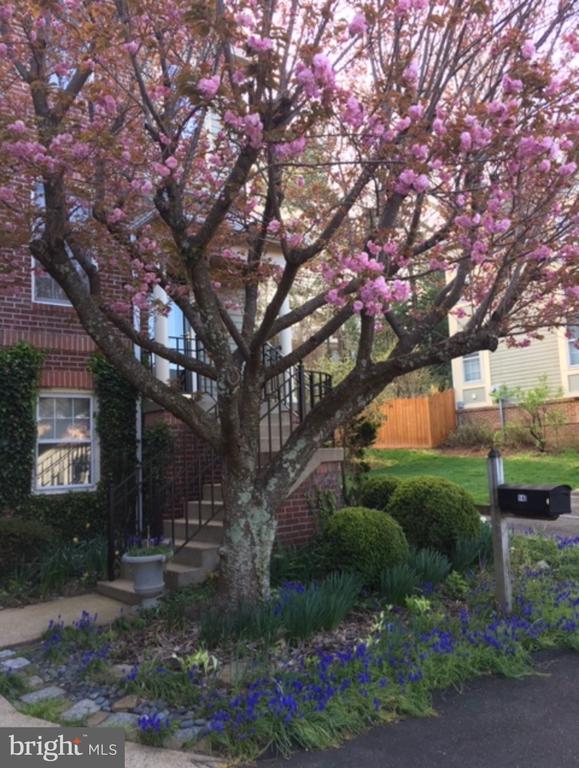 146 MOSBY CIR, WARRENTON, Virginia 20186, 3 Bedrooms Bedrooms, ,2 BathroomsBathrooms,Residential,146 MOSBY CIR,VAFQ2021872 MLS # VAFQ2021872 146 MOSBY CIR, WARRENTON, Virginia 20186, 3 Bedrooms Bedrooms, ,2 BathroomsBathrooms,Residential,146 MOSBY CIR,VAFQ2021872 MLS # VAFQ2021872