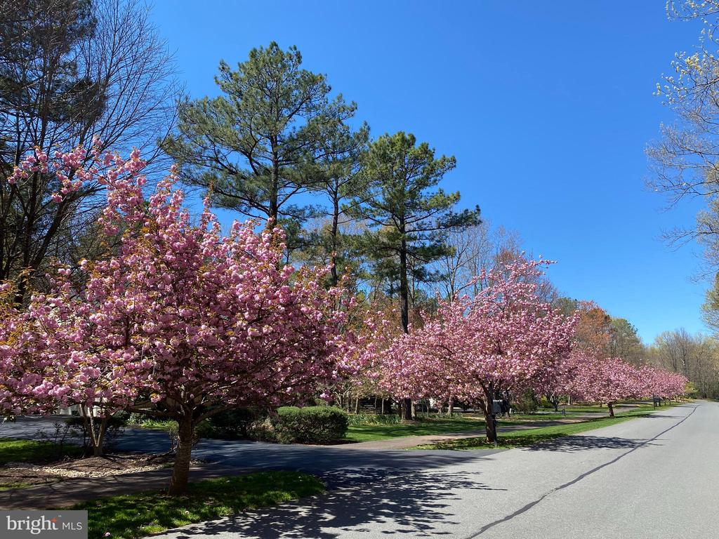 11608 LONGSTREET DR, SPOTSYLVANIA, Virginia 22551, 4 Bedrooms Bedrooms, ,2 BathroomsBathrooms,Residential,11608 LONGSTREET DR,VASP2042634 MLS # VASP2042634