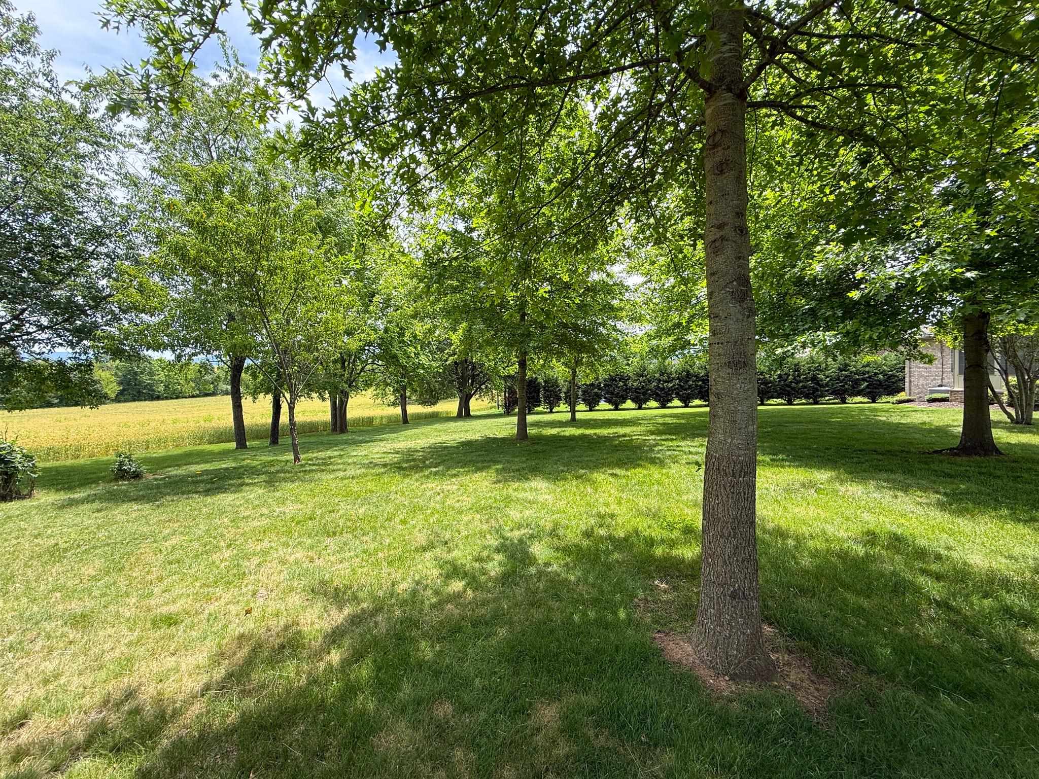 43 LYNN CIR, STUARTS DRAFT, Virginia 24477, 3 Bedrooms Bedrooms, ,2 BathroomsBathrooms,Residential,43 LYNN CIR,678054 MLS # 678054 43 LYNN CIR, STUARTS DRAFT, Virginia 24477, 3 Bedrooms Bedrooms, ,2 BathroomsBathrooms,Residential,43 LYNN CIR,678054 MLS # 678054