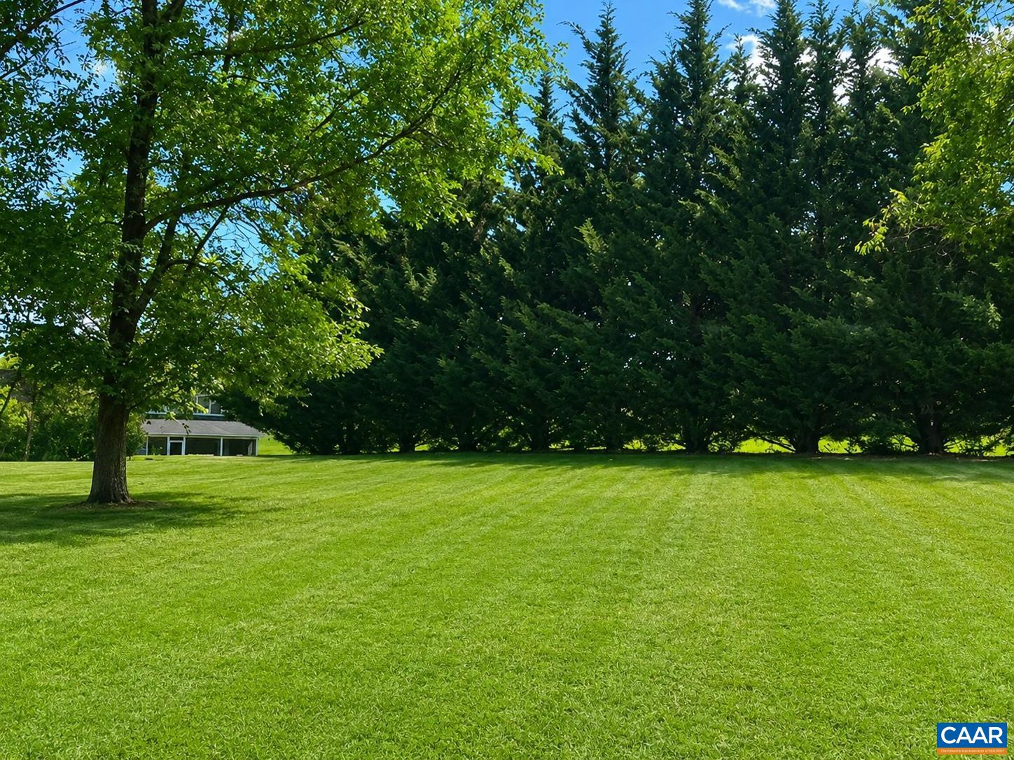 This is the beginning of the expansive backyard. This lot is deep at just over 1 acre.