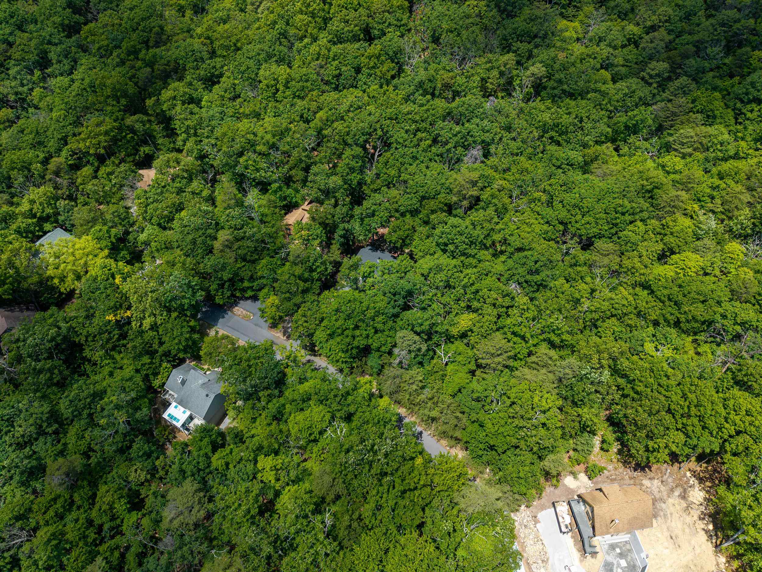 294 CONGERS LN, MCGAHEYSVILLE, Virginia 22840, 3 Bedrooms Bedrooms, ,2 BathroomsBathrooms,Residential,294 CONGERS LN,678059 MLS # 678059 294 CONGERS LN, MCGAHEYSVILLE, Virginia 22840, 3 Bedrooms Bedrooms, ,2 BathroomsBathrooms,Residential,294 CONGERS LN,678059 MLS # 678059