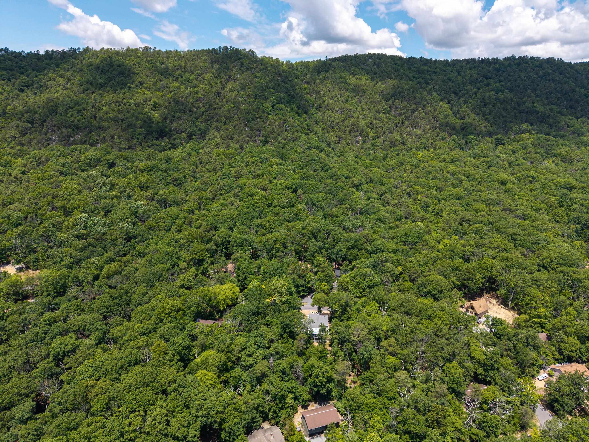 294 CONGERS LN, MCGAHEYSVILLE, Virginia 22840, 3 Bedrooms Bedrooms, ,2 BathroomsBathrooms,Residential,294 CONGERS LN,678059 MLS # 678059 294 CONGERS LN, MCGAHEYSVILLE, Virginia 22840, 3 Bedrooms Bedrooms, ,2 BathroomsBathrooms,Residential,294 CONGERS LN,678059 MLS # 678059