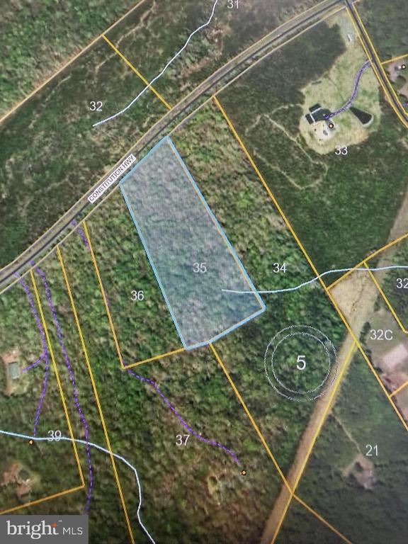 CONSTITUTION HWY, MINE RUN, Virginia 22508, ,Land,CONSTITUTION HWY,VAOR2013754 MLS # VAOR2013754