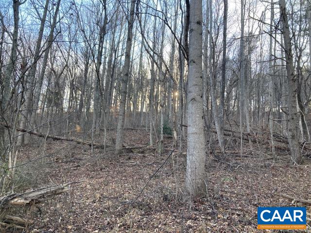 Simmons Ga SIMMONS GAP RD, FREE UNION, Virginia 22940, ,Land,Simmons Ga SIMMONS GAP RD,678060 MLS # 678060