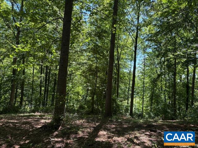 Simmons Ga SIMMONS GAP RD, FREE UNION, Virginia 22940, ,Land,Simmons Ga SIMMONS GAP RD,678060 MLS # 678060