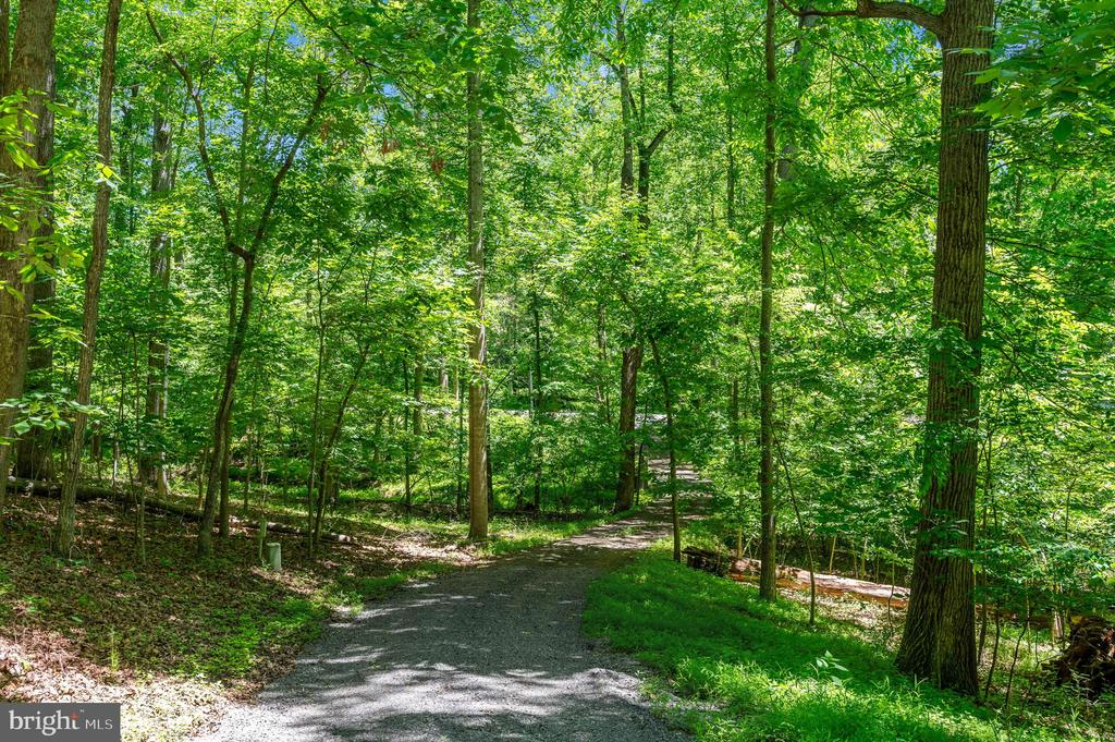 11408 DUTCH HOLLOW RD, CULPEPER, Virginia 22701, 3 Bedrooms Bedrooms, ,2 BathroomsBathrooms,Residential,11408 DUTCH HOLLOW RD,VACU2013878 MLS # VACU2013878 11408 DUTCH HOLLOW RD, CULPEPER, Virginia 22701, 3 Bedrooms Bedrooms, ,2 BathroomsBathrooms,Residential,11408 DUTCH HOLLOW RD,VACU2013878 MLS # VACU2013878