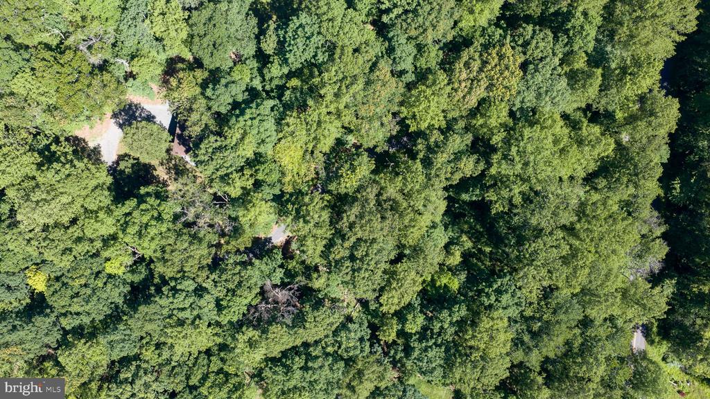 11408 DUTCH HOLLOW RD, CULPEPER, Virginia 22701, 3 Bedrooms Bedrooms, ,2 BathroomsBathrooms,Residential,11408 DUTCH HOLLOW RD,VACU2013878 MLS # VACU2013878 11408 DUTCH HOLLOW RD, CULPEPER, Virginia 22701, 3 Bedrooms Bedrooms, ,2 BathroomsBathrooms,Residential,11408 DUTCH HOLLOW RD,VACU2013878 MLS # VACU2013878