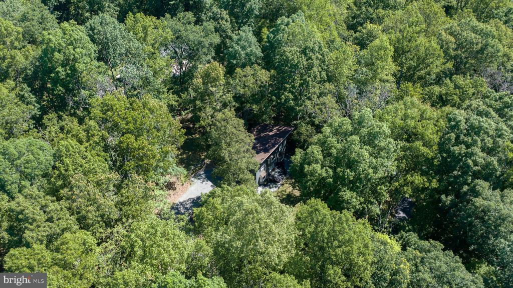 11408 DUTCH HOLLOW RD, CULPEPER, Virginia 22701, 3 Bedrooms Bedrooms, ,2 BathroomsBathrooms,Residential,11408 DUTCH HOLLOW RD,VACU2013878 MLS # VACU2013878 11408 DUTCH HOLLOW RD, CULPEPER, Virginia 22701, 3 Bedrooms Bedrooms, ,2 BathroomsBathrooms,Residential,11408 DUTCH HOLLOW RD,VACU2013878 MLS # VACU2013878