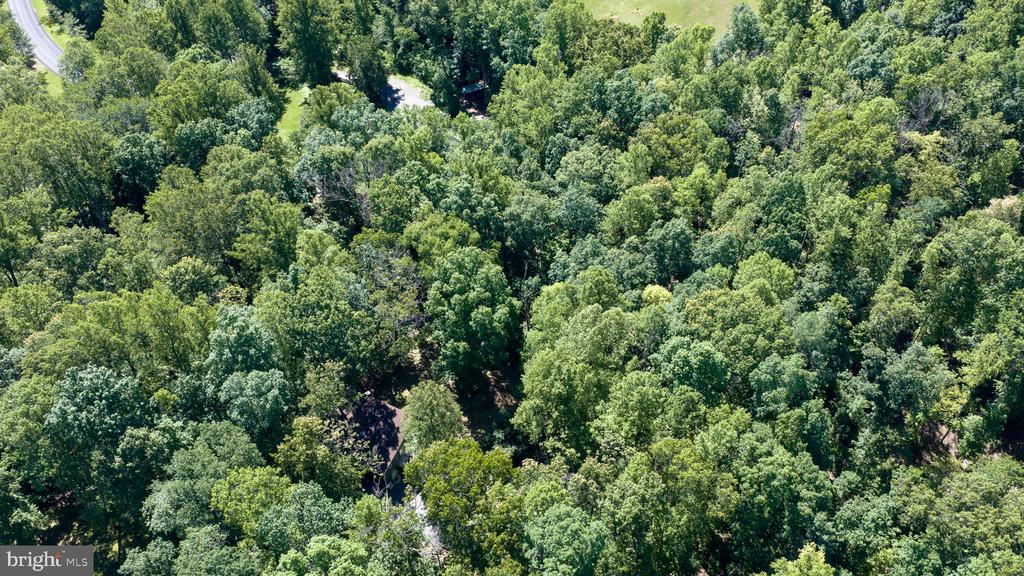 11408 DUTCH HOLLOW RD, CULPEPER, Virginia 22701, 3 Bedrooms Bedrooms, ,2 BathroomsBathrooms,Residential,11408 DUTCH HOLLOW RD,VACU2013878 MLS # VACU2013878 11408 DUTCH HOLLOW RD, CULPEPER, Virginia 22701, 3 Bedrooms Bedrooms, ,2 BathroomsBathrooms,Residential,11408 DUTCH HOLLOW RD,VACU2013878 MLS # VACU2013878