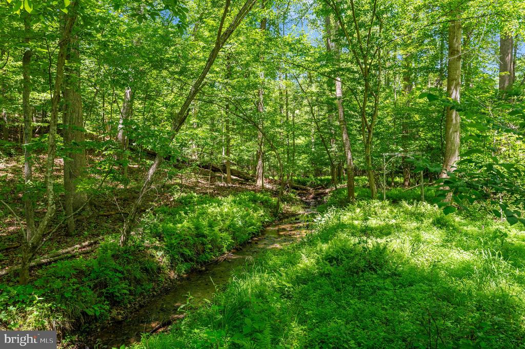11408 DUTCH HOLLOW RD, CULPEPER, Virginia 22701, 3 Bedrooms Bedrooms, ,2 BathroomsBathrooms,Residential,11408 DUTCH HOLLOW RD,VACU2013878 MLS # VACU2013878 11408 DUTCH HOLLOW RD, CULPEPER, Virginia 22701, 3 Bedrooms Bedrooms, ,2 BathroomsBathrooms,Residential,11408 DUTCH HOLLOW RD,VACU2013878 MLS # VACU2013878