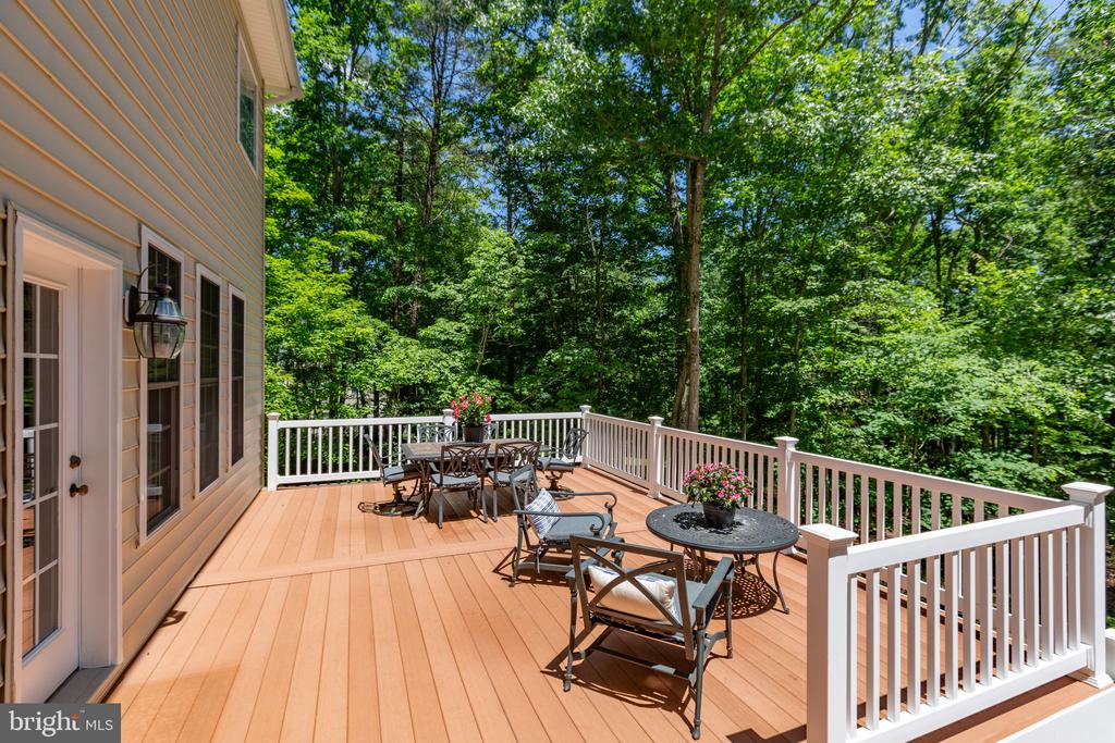 13209 CHANDLER CT, FREDERICKSBURG, Virginia 22407, 5 Bedrooms Bedrooms, ,2 BathroomsBathrooms,Residential,13209 CHANDLER CT,VASP2042380 MLS # VASP2042380 13209 CHANDLER CT, FREDERICKSBURG, Virginia 22407, 5 Bedrooms Bedrooms, ,2 BathroomsBathrooms,Residential,13209 CHANDLER CT,VASP2042380 MLS # VASP2042380