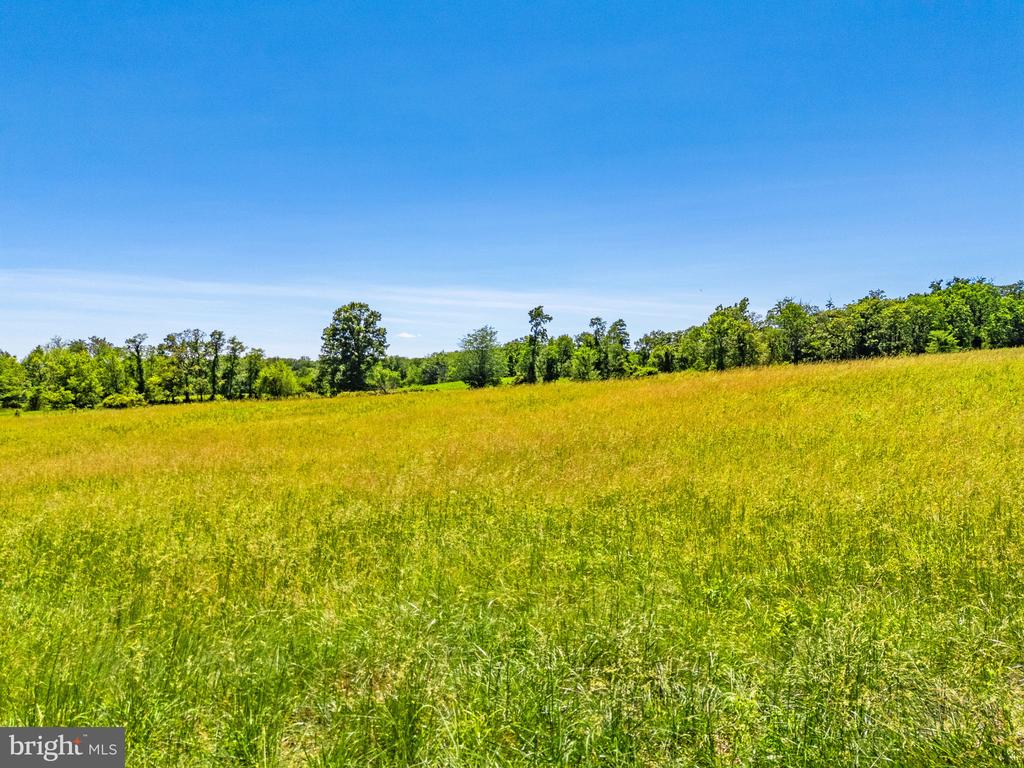 1310 DELAPLANE GRADE RD, UPPERVILLE, Virginia 20184, 4 Bedrooms Bedrooms, ,3 BathroomsBathrooms,Residential,1310 DELAPLANE GRADE RD,VAFQ2021294 MLS # VAFQ2021294 1310 DELAPLANE GRADE RD, UPPERVILLE, Virginia 20184, 4 Bedrooms Bedrooms, ,3 BathroomsBathrooms,Residential,1310 DELAPLANE GRADE RD,VAFQ2021294 MLS # VAFQ2021294