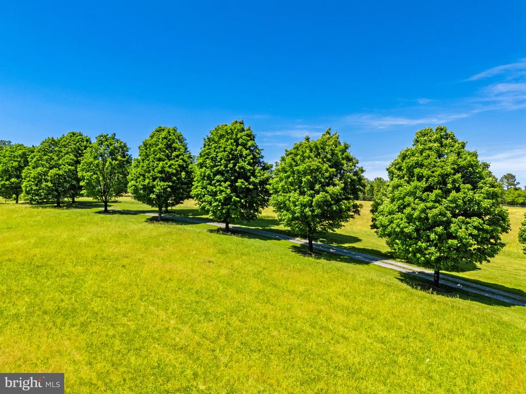 1310 DELAPLANE GRADE RD, UPPERVILLE, Virginia 20184, 4 Bedrooms Bedrooms, ,3 BathroomsBathrooms,Residential,1310 DELAPLANE GRADE RD,VAFQ2021294 MLS # VAFQ2021294 1310 DELAPLANE GRADE RD, UPPERVILLE, Virginia 20184, 4 Bedrooms Bedrooms, ,3 BathroomsBathrooms,Residential,1310 DELAPLANE GRADE RD,VAFQ2021294 MLS # VAFQ2021294
