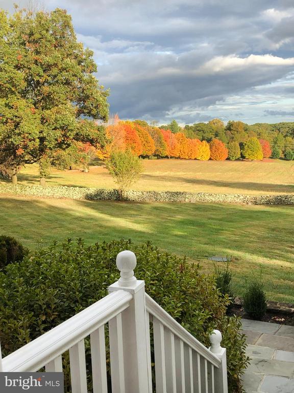 1310 DELAPLANE GRADE RD, UPPERVILLE, Virginia 20184, 4 Bedrooms Bedrooms, ,3 BathroomsBathrooms,Residential,1310 DELAPLANE GRADE RD,VAFQ2021294 MLS # VAFQ2021294 1310 DELAPLANE GRADE RD, UPPERVILLE, Virginia 20184, 4 Bedrooms Bedrooms, ,3 BathroomsBathrooms,Residential,1310 DELAPLANE GRADE RD,VAFQ2021294 MLS # VAFQ2021294