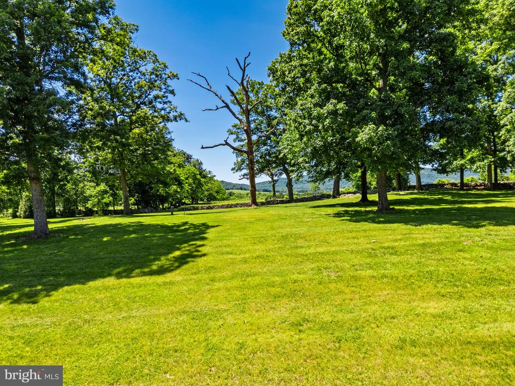 1310 DELAPLANE GRADE RD, UPPERVILLE, Virginia 20184, 4 Bedrooms Bedrooms, ,3 BathroomsBathrooms,Residential,1310 DELAPLANE GRADE RD,VAFQ2021294 MLS # VAFQ2021294 1310 DELAPLANE GRADE RD, UPPERVILLE, Virginia 20184, 4 Bedrooms Bedrooms, ,3 BathroomsBathrooms,Residential,1310 DELAPLANE GRADE RD,VAFQ2021294 MLS # VAFQ2021294