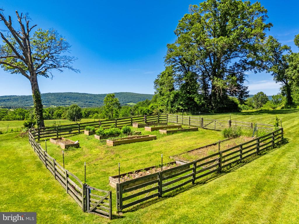 1310 DELAPLANE GRADE RD, UPPERVILLE, Virginia 20184, 4 Bedrooms Bedrooms, ,3 BathroomsBathrooms,Residential,1310 DELAPLANE GRADE RD,VAFQ2021294 MLS # VAFQ2021294 1310 DELAPLANE GRADE RD, UPPERVILLE, Virginia 20184, 4 Bedrooms Bedrooms, ,3 BathroomsBathrooms,Residential,1310 DELAPLANE GRADE RD,VAFQ2021294 MLS # VAFQ2021294