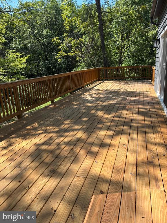 2391 HOLLY SPRINGS RD, AMISSVILLE, Virginia 20106, 4 Bedrooms Bedrooms, ,4 BathroomsBathrooms,Residential,2391 HOLLY SPRINGS RD,VACU2013956 MLS # VACU2013956 2391 HOLLY SPRINGS RD, AMISSVILLE, Virginia 20106, 4 Bedrooms Bedrooms, ,4 BathroomsBathrooms,Residential,2391 HOLLY SPRINGS RD,VACU2013956 MLS # VACU2013956