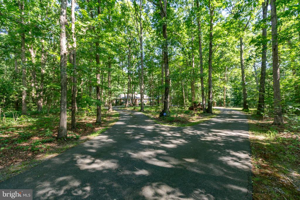 8401 GREY GHOST LN, FREDERICKSBURG, Virginia 22408, 3 Bedrooms Bedrooms, ,2 BathroomsBathrooms,Residential,8401 GREY GHOST LN,VASP2042514 MLS # VASP2042514 8401 GREY GHOST LN, FREDERICKSBURG, Virginia 22408, 3 Bedrooms Bedrooms, ,2 BathroomsBathrooms,Residential,8401 GREY GHOST LN,VASP2042514 MLS # VASP2042514