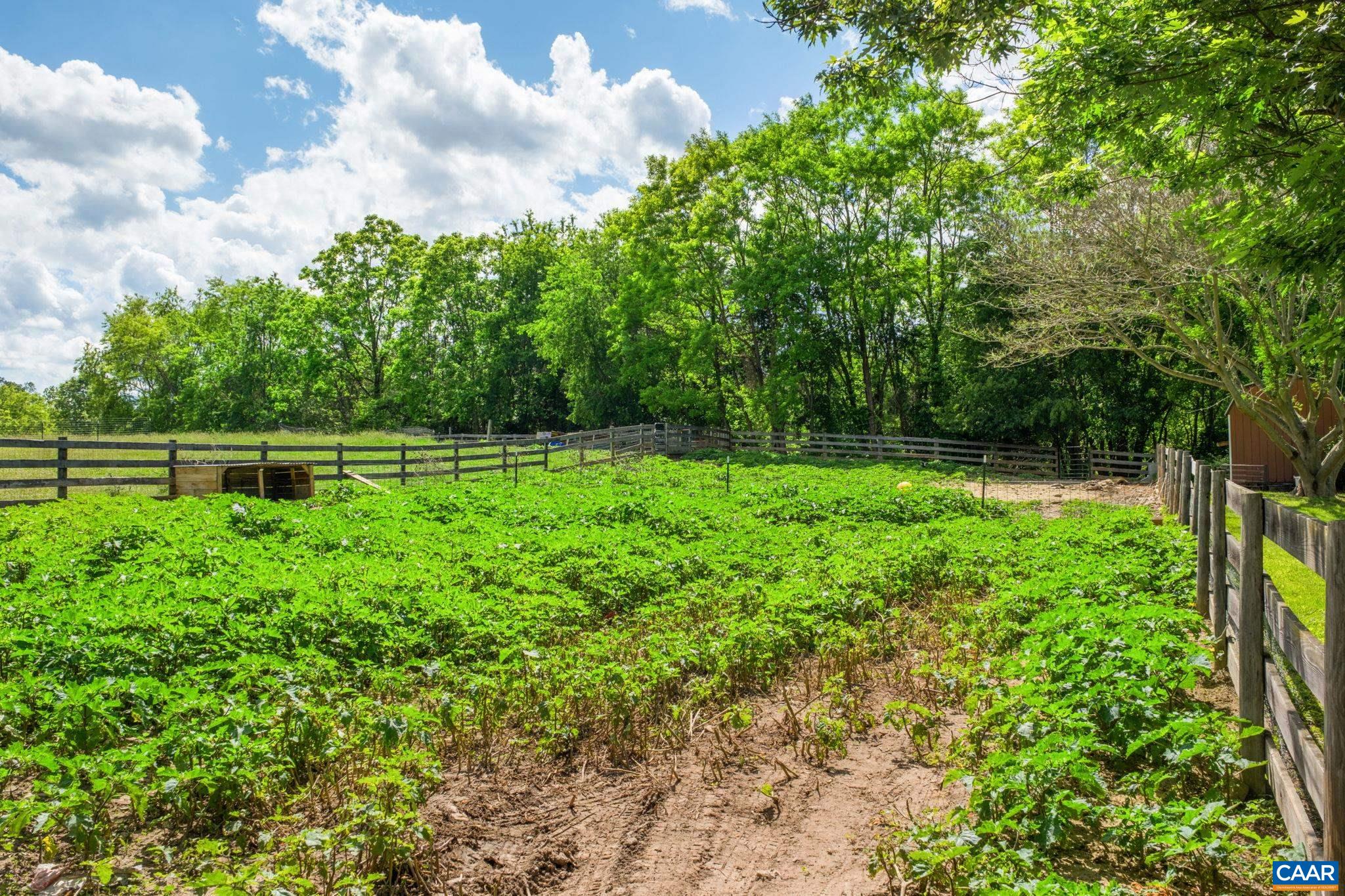 3292 EAST SIDE HWY, GROTTOES, Virginia 24441, 5 Bedrooms Bedrooms, ,2 BathroomsBathrooms,Residential,3292 EAST SIDE HWY,678109 MLS # 678109 3292 EAST SIDE HWY, GROTTOES, Virginia 24441, 5 Bedrooms Bedrooms, ,2 BathroomsBathrooms,Residential,3292 EAST SIDE HWY,678109 MLS # 678109