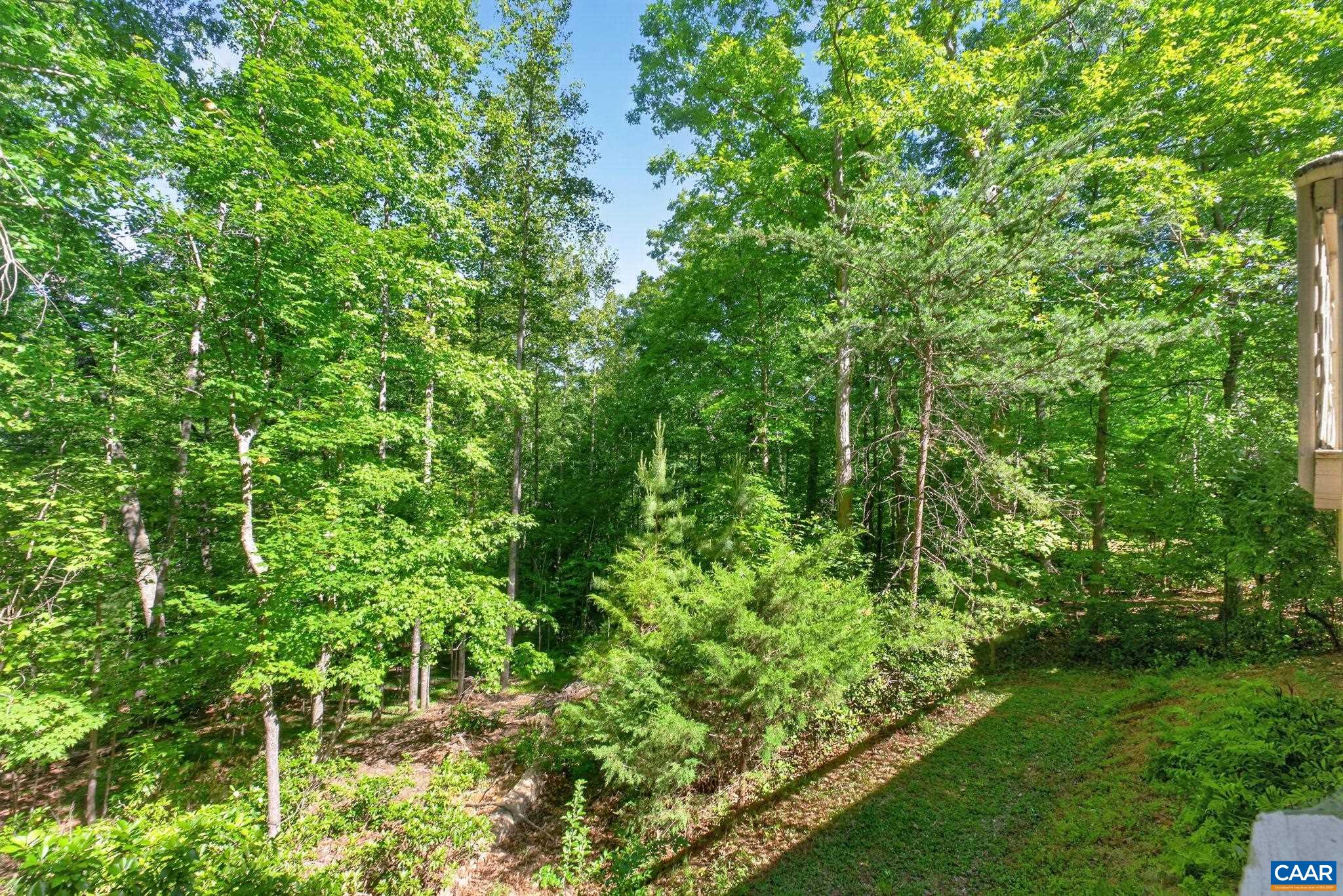 255 HOMESTEAD LN, CHARLOTTESVILLE, Virginia 22902, 3 Bedrooms Bedrooms, ,2 BathroomsBathrooms,Residential,255 HOMESTEAD LN,678110 MLS # 678110
