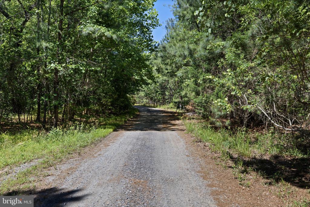 DEERWOOD LN, SPOTSYLVANIA, Virginia 22553, ,Farm,DEERWOOD LN,VASP2042656 MLS # VASP2042656 DEERWOOD LN, SPOTSYLVANIA, Virginia 22553, ,Farm,DEERWOOD LN,VASP2042656 MLS # VASP2042656