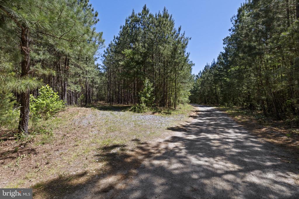 DEERWOOD LN, SPOTSYLVANIA, Virginia 22553, ,Farm,DEERWOOD LN,VASP2042656 MLS # VASP2042656 DEERWOOD LN, SPOTSYLVANIA, Virginia 22553, ,Farm,DEERWOOD LN,VASP2042656 MLS # VASP2042656