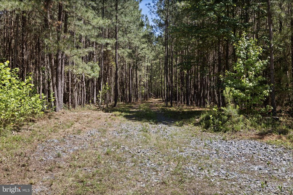 DEERWOOD LN, SPOTSYLVANIA, Virginia 22553, ,Farm,DEERWOOD LN,VASP2042656 MLS # VASP2042656 DEERWOOD LN, SPOTSYLVANIA, Virginia 22553, ,Farm,DEERWOOD LN,VASP2042656 MLS # VASP2042656