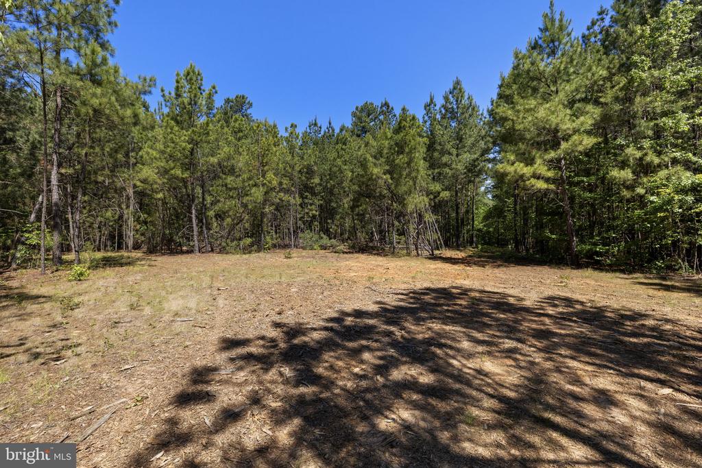 DEERWOOD LN, SPOTSYLVANIA, Virginia 22553, ,Farm,DEERWOOD LN,VASP2042656 MLS # VASP2042656 DEERWOOD LN, SPOTSYLVANIA, Virginia 22553, ,Farm,DEERWOOD LN,VASP2042656 MLS # VASP2042656