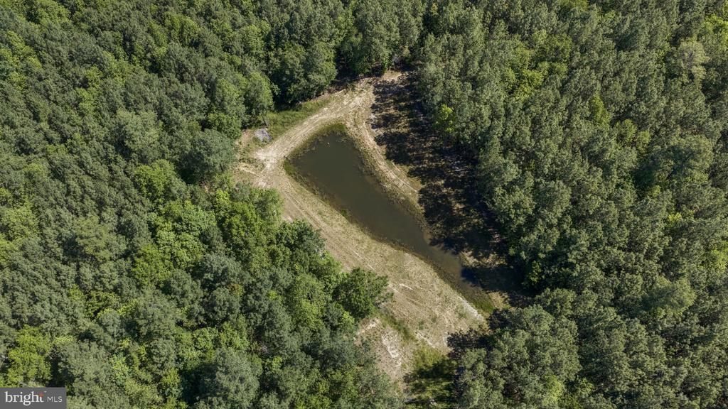 DEERWOOD LN, SPOTSYLVANIA, Virginia 22553, ,Farm,DEERWOOD LN,VASP2042656 MLS # VASP2042656 DEERWOOD LN, SPOTSYLVANIA, Virginia 22553, ,Farm,DEERWOOD LN,VASP2042656 MLS # VASP2042656