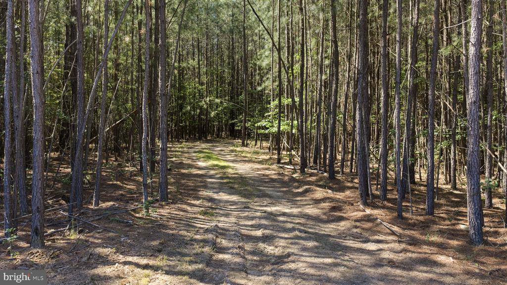 DEERWOOD LN, SPOTSYLVANIA, Virginia 22553, ,Farm,DEERWOOD LN,VASP2042656 MLS # VASP2042656 DEERWOOD LN, SPOTSYLVANIA, Virginia 22553, ,Farm,DEERWOOD LN,VASP2042656 MLS # VASP2042656