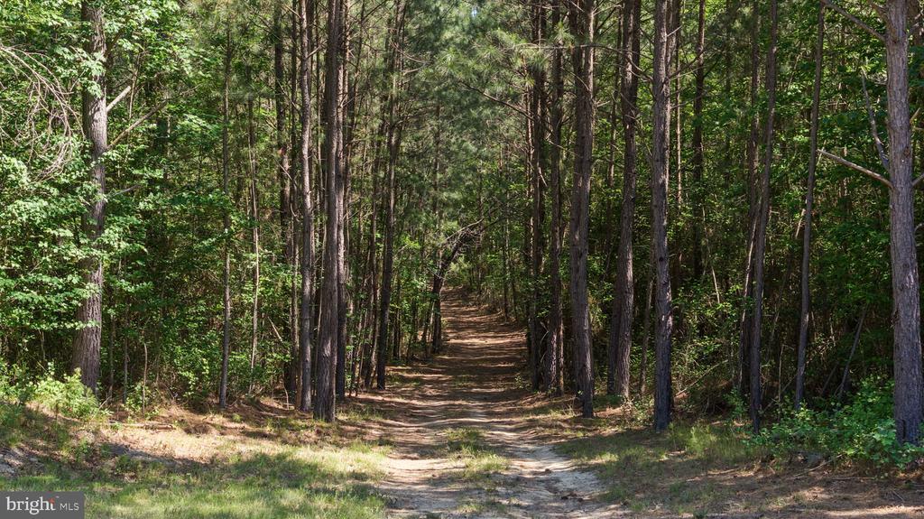 DEERWOOD LN, SPOTSYLVANIA, Virginia 22553, ,Farm,DEERWOOD LN,VASP2042656 MLS # VASP2042656 DEERWOOD LN, SPOTSYLVANIA, Virginia 22553, ,Farm,DEERWOOD LN,VASP2042656 MLS # VASP2042656