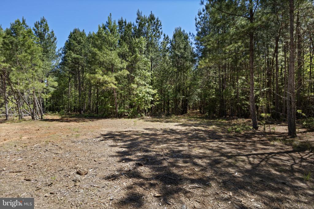 DEERWOOD LN, SPOTSYLVANIA, Virginia 22553, ,Farm,DEERWOOD LN,VASP2042656 MLS # VASP2042656 DEERWOOD LN, SPOTSYLVANIA, Virginia 22553, ,Farm,DEERWOOD LN,VASP2042656 MLS # VASP2042656