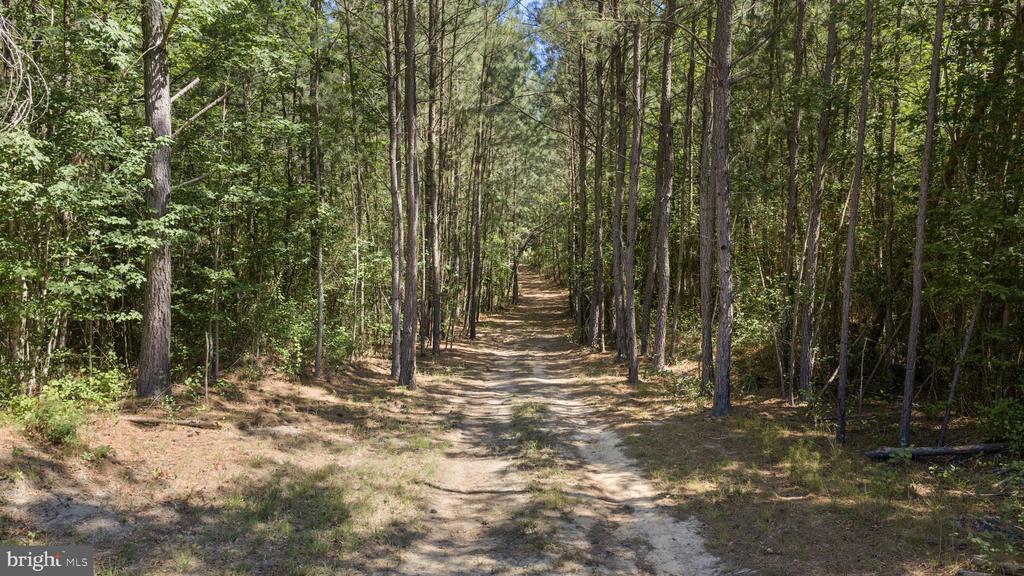 DEERWOOD LN, SPOTSYLVANIA, Virginia 22553, ,Farm,DEERWOOD LN,VASP2042656 MLS # VASP2042656 DEERWOOD LN, SPOTSYLVANIA, Virginia 22553, ,Farm,DEERWOOD LN,VASP2042656 MLS # VASP2042656