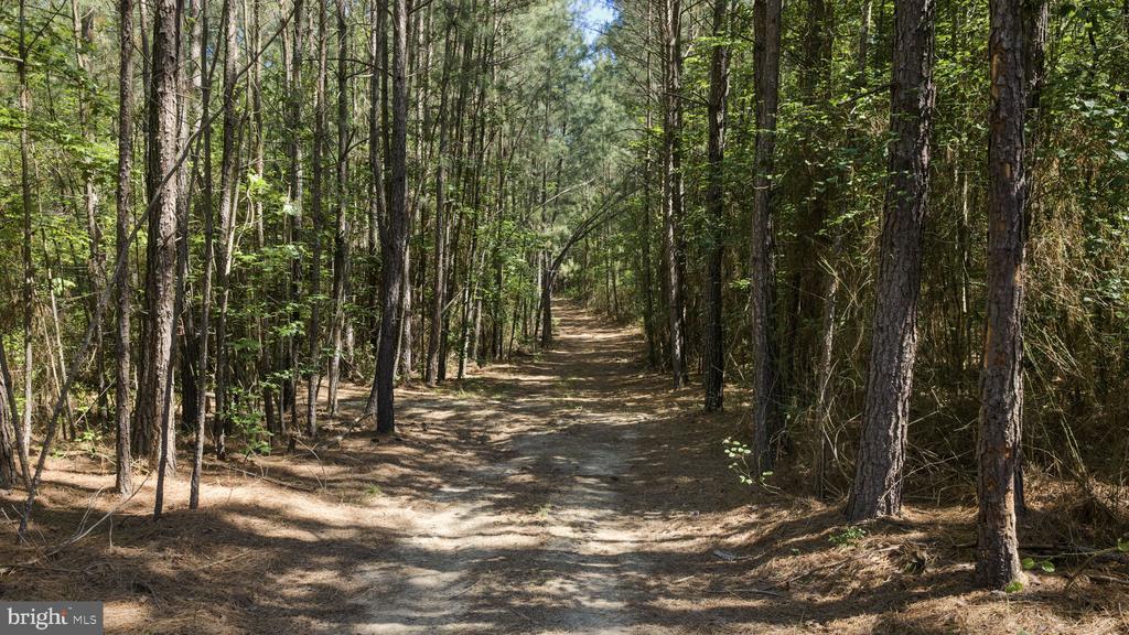DEERWOOD LN, SPOTSYLVANIA, Virginia 22553, ,Farm,DEERWOOD LN,VASP2042656 MLS # VASP2042656 DEERWOOD LN, SPOTSYLVANIA, Virginia 22553, ,Farm,DEERWOOD LN,VASP2042656 MLS # VASP2042656