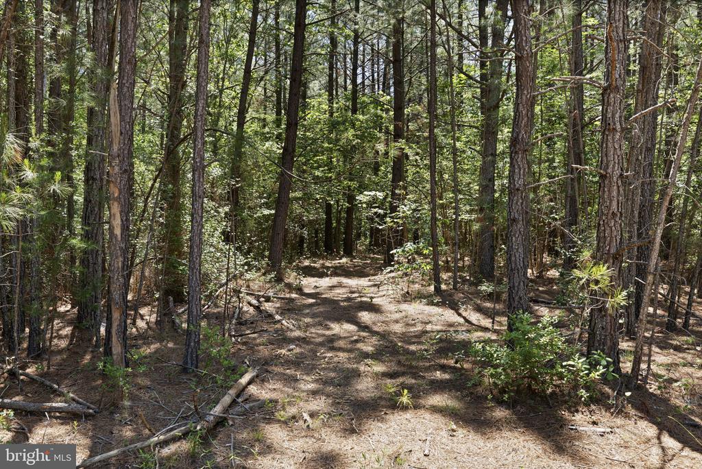 DEERWOOD LN, SPOTSYLVANIA, Virginia 22553, ,Farm,DEERWOOD LN,VASP2042656 MLS # VASP2042656 DEERWOOD LN, SPOTSYLVANIA, Virginia 22553, ,Farm,DEERWOOD LN,VASP2042656 MLS # VASP2042656