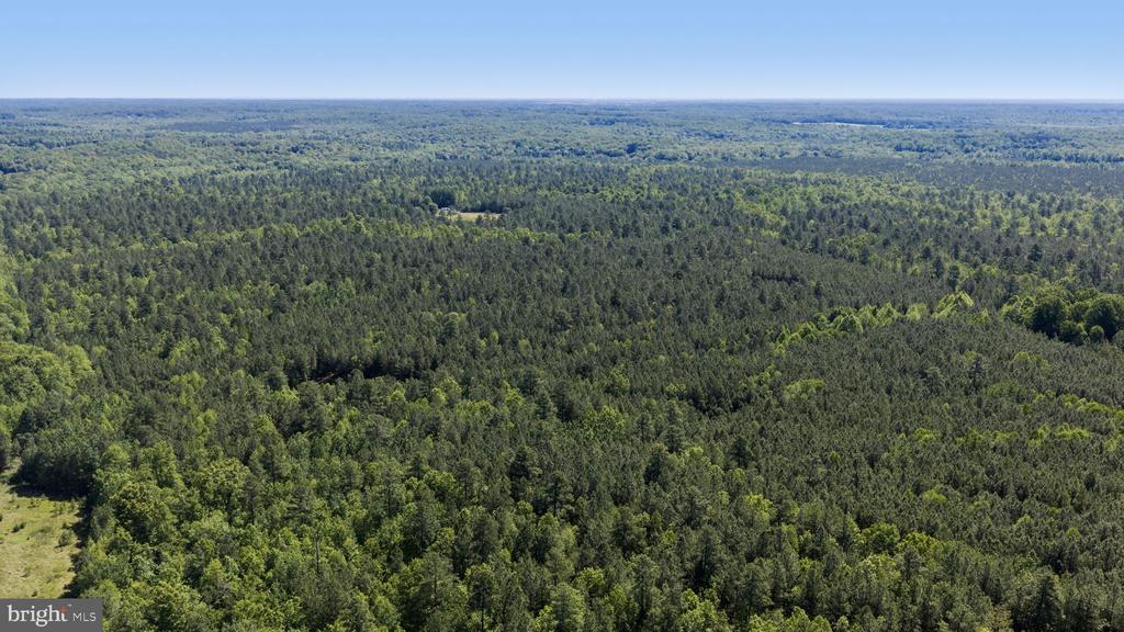 DEERWOOD LN, SPOTSYLVANIA, Virginia 22553, ,Farm,DEERWOOD LN,VASP2042656 MLS # VASP2042656 DEERWOOD LN, SPOTSYLVANIA, Virginia 22553, ,Farm,DEERWOOD LN,VASP2042656 MLS # VASP2042656