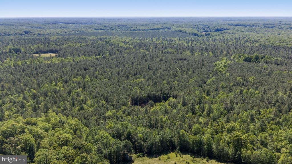 DEERWOOD LN, SPOTSYLVANIA, Virginia 22553, ,Farm,DEERWOOD LN,VASP2042656 MLS # VASP2042656 DEERWOOD LN, SPOTSYLVANIA, Virginia 22553, ,Farm,DEERWOOD LN,VASP2042656 MLS # VASP2042656