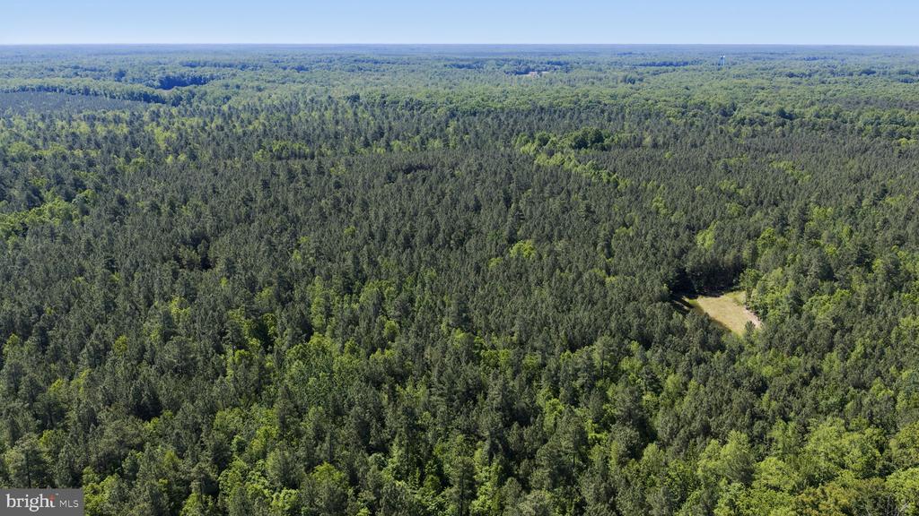 DEERWOOD LN, SPOTSYLVANIA, Virginia 22553, ,Farm,DEERWOOD LN,VASP2042656 MLS # VASP2042656 DEERWOOD LN, SPOTSYLVANIA, Virginia 22553, ,Farm,DEERWOOD LN,VASP2042656 MLS # VASP2042656