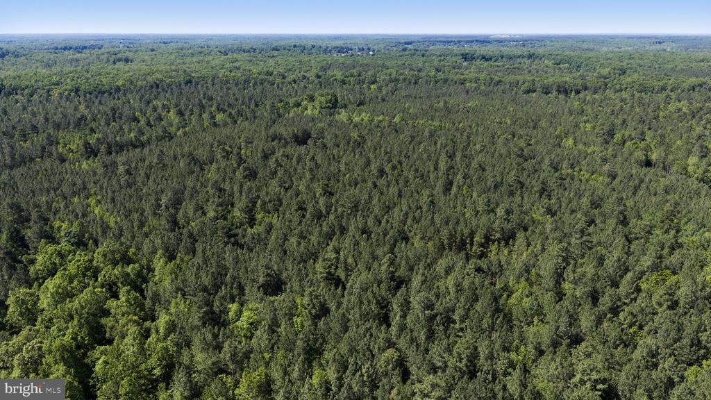 DEERWOOD LN, SPOTSYLVANIA, Virginia 22553, ,Farm,DEERWOOD LN,VASP2042656 MLS # VASP2042656 DEERWOOD LN, SPOTSYLVANIA, Virginia 22553, ,Farm,DEERWOOD LN,VASP2042656 MLS # VASP2042656