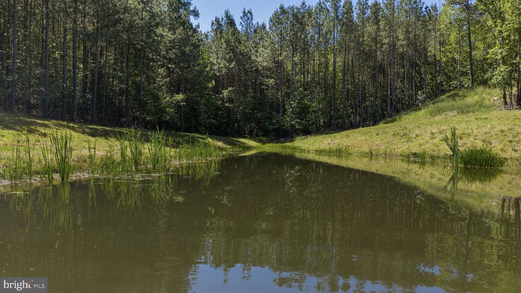 DEERWOOD LN, SPOTSYLVANIA, Virginia 22553, ,Farm,DEERWOOD LN,VASP2042656 MLS # VASP2042656 DEERWOOD LN, SPOTSYLVANIA, Virginia 22553, ,Farm,DEERWOOD LN,VASP2042656 MLS # VASP2042656