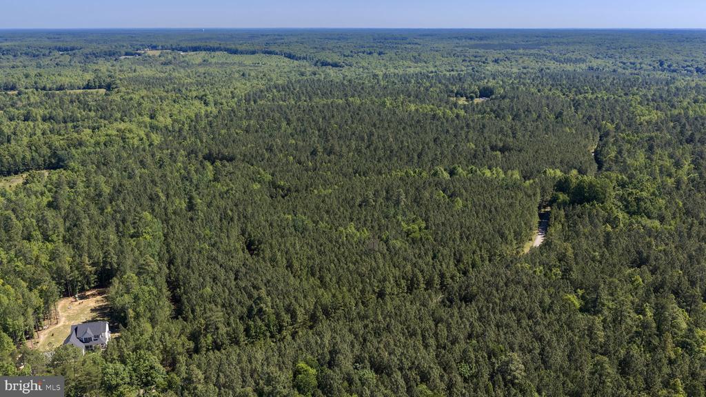 DEERWOOD LN, SPOTSYLVANIA, Virginia 22553, ,Farm,DEERWOOD LN,VASP2042656 MLS # VASP2042656 DEERWOOD LN, SPOTSYLVANIA, Virginia 22553, ,Farm,DEERWOOD LN,VASP2042656 MLS # VASP2042656