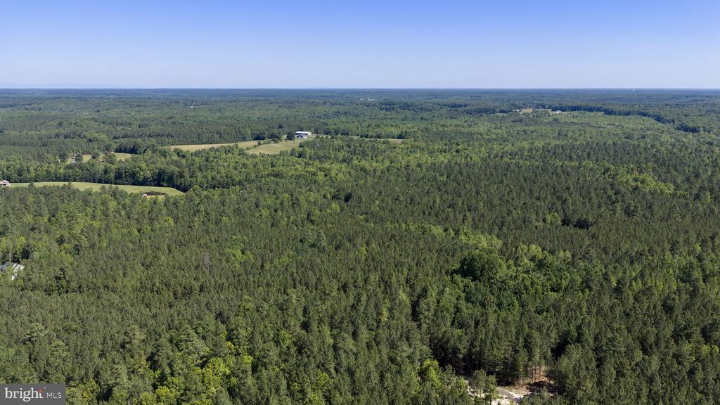 DEERWOOD LN, SPOTSYLVANIA, Virginia 22553, ,Farm,DEERWOOD LN,VASP2042656 MLS # VASP2042656 DEERWOOD LN, SPOTSYLVANIA, Virginia 22553, ,Farm,DEERWOOD LN,VASP2042656 MLS # VASP2042656