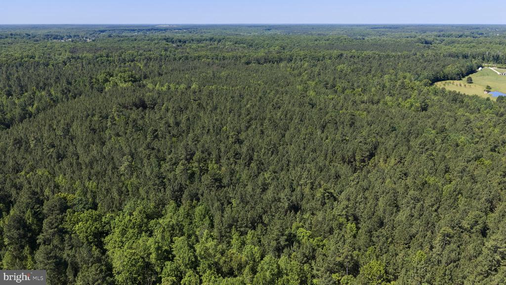 DEERWOOD LN, SPOTSYLVANIA, Virginia 22553, ,Farm,DEERWOOD LN,VASP2042656 MLS # VASP2042656 DEERWOOD LN, SPOTSYLVANIA, Virginia 22553, ,Farm,DEERWOOD LN,VASP2042656 MLS # VASP2042656