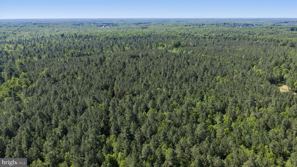 DEERWOOD LN, SPOTSYLVANIA, Virginia 22553, ,Farm,DEERWOOD LN,VASP2042656 MLS # VASP2042656 DEERWOOD LN, SPOTSYLVANIA, Virginia 22553, ,Farm,DEERWOOD LN,VASP2042656 MLS # VASP2042656