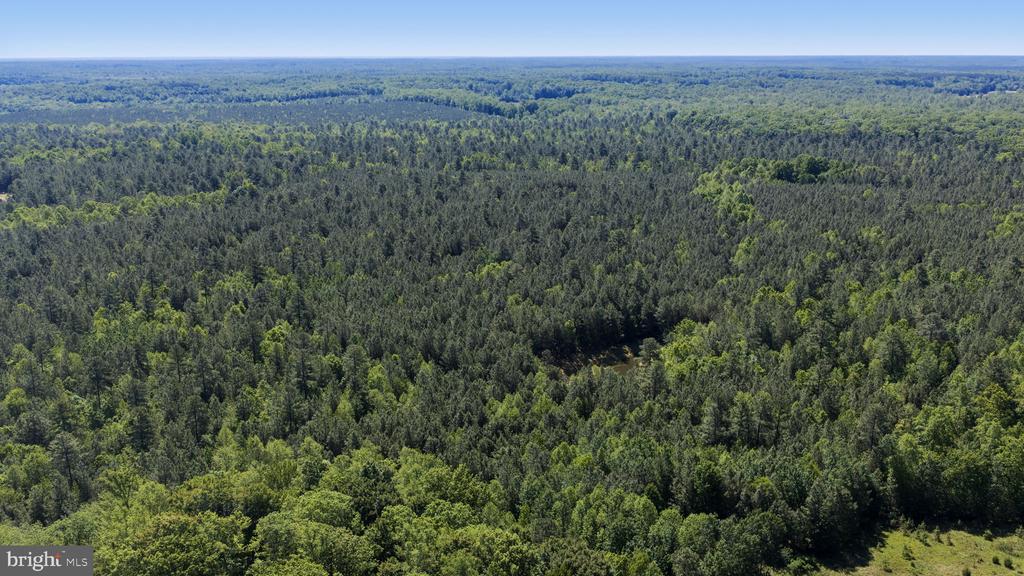 DEERWOOD LN, SPOTSYLVANIA, Virginia 22553, ,Farm,DEERWOOD LN,VASP2042656 MLS # VASP2042656 DEERWOOD LN, SPOTSYLVANIA, Virginia 22553, ,Farm,DEERWOOD LN,VASP2042656 MLS # VASP2042656