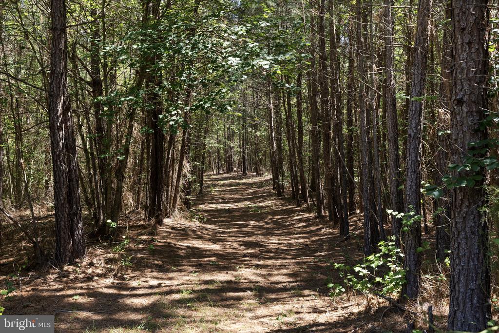 DEERWOOD LN, SPOTSYLVANIA, Virginia 22553, ,Farm,DEERWOOD LN,VASP2042656 MLS # VASP2042656 DEERWOOD LN, SPOTSYLVANIA, Virginia 22553, ,Farm,DEERWOOD LN,VASP2042656 MLS # VASP2042656