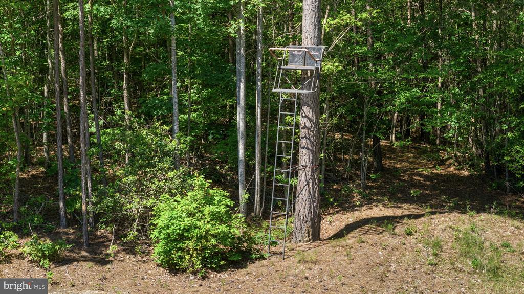 DEERWOOD LN, SPOTSYLVANIA, Virginia 22553, ,Farm,DEERWOOD LN,VASP2042656 MLS # VASP2042656 DEERWOOD LN, SPOTSYLVANIA, Virginia 22553, ,Farm,DEERWOOD LN,VASP2042656 MLS # VASP2042656