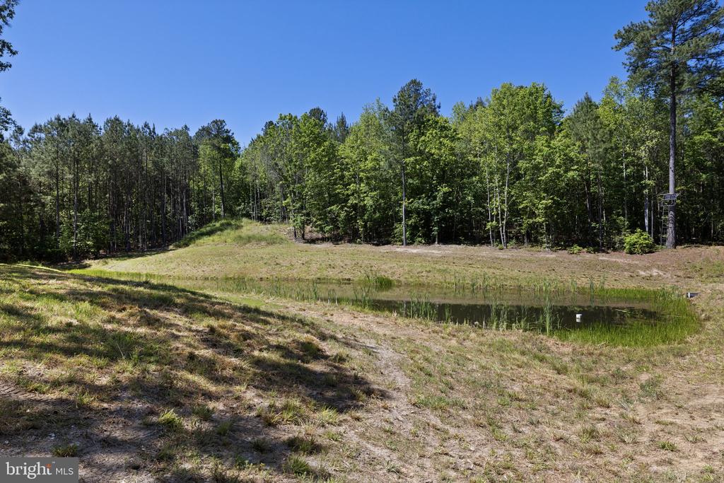 DEERWOOD LN, SPOTSYLVANIA, Virginia 22553, ,Farm,DEERWOOD LN,VASP2042656 MLS # VASP2042656 DEERWOOD LN, SPOTSYLVANIA, Virginia 22553, ,Farm,DEERWOOD LN,VASP2042656 MLS # VASP2042656