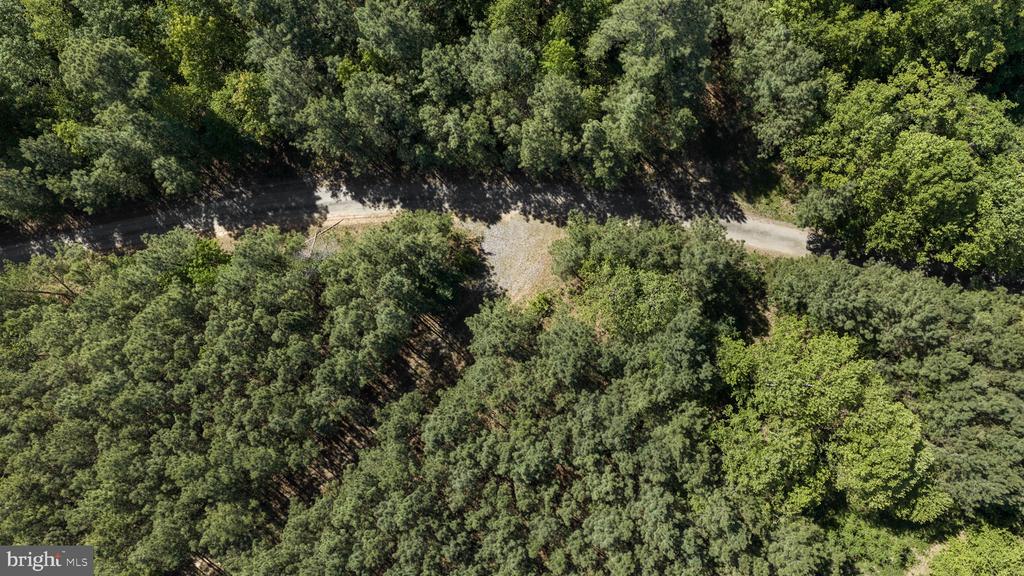 DEERWOOD LN, SPOTSYLVANIA, Virginia 22553, ,Farm,DEERWOOD LN,VASP2042656 MLS # VASP2042656 DEERWOOD LN, SPOTSYLVANIA, Virginia 22553, ,Farm,DEERWOOD LN,VASP2042656 MLS # VASP2042656