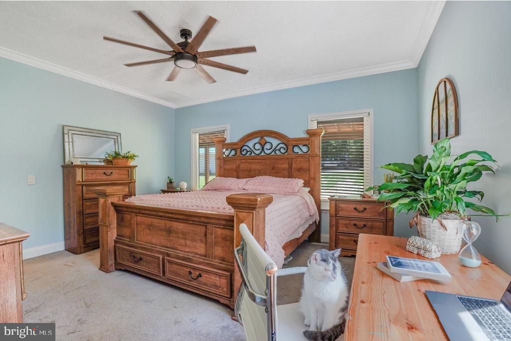 6617 TIMBERBROOK LN, SPOTSYLVANIA, Virginia 22551, 5 Bedrooms Bedrooms, ,2 BathroomsBathrooms,Residential,6617 TIMBERBROOK LN,VASP2042664 MLS # VASP2042664 6617 TIMBERBROOK LN, SPOTSYLVANIA, Virginia 22551, 5 Bedrooms Bedrooms, ,2 BathroomsBathrooms,Residential,6617 TIMBERBROOK LN,VASP2042664 MLS # VASP2042664